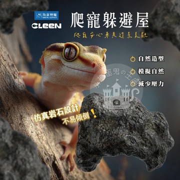 【小搗蛋鬼の王國】爬寵躲避屋 爬蟲造景擺飾 CLEEN其鱗 角落特寵 角落水族 侏儸紀公園 爬寵生態 躲避屋 造景 擺飾