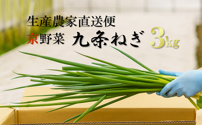 生産農家直送　京野菜・九条ねぎ　約3kg