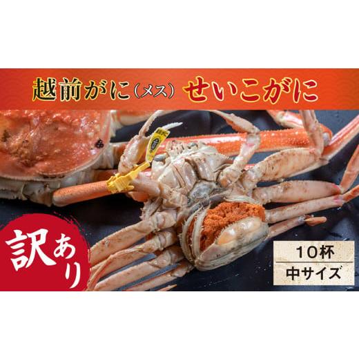 ふるさと納税 福井県 越前市 越前がに（メス）「せいこがに」訳あり 150g前後 ×  10杯