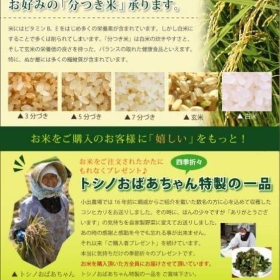 米・穀物 米 精米 新米つきあかりこしいぶき食べ比べセット令和5年産 産地直送