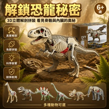 桃園出貨✨ 益智恐龍動物拼裝玩具 解剖半骨架擺件 3D立體拼圖模型 啟蒙DIY教育玩具