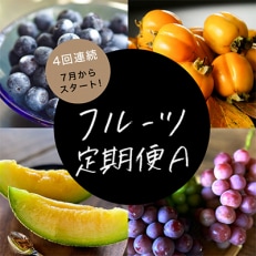 フルーツ定期便A 旬の美味しい果物を毎月1種 全4回