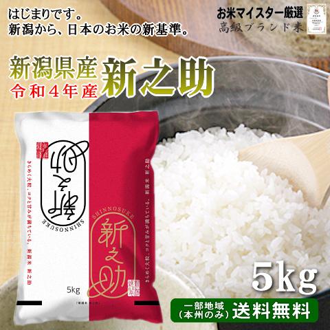 お米 5kg 新之助 新潟米 （ 令和5年産 ） 5kg 