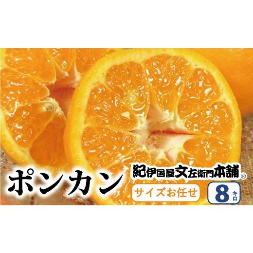 ふるさと納税 和歌山県 すさみ町 ポンカン 約8kg／サイズおまかせ　※2024年1月下旬〜2月下旬頃に順次発送予定(お届け日指定不可)　紀伊国屋文左衛門本舗