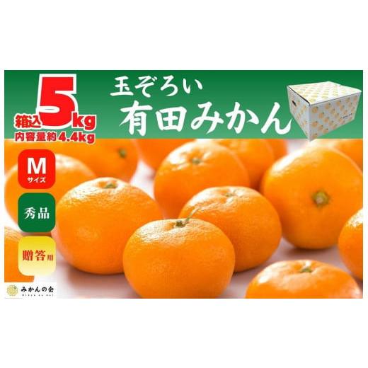 ふるさと納税 和歌山県 有田川町 みかん Ｍサイズ 秀品 箱込 5kg (内容量約 4.4kg) 玉そろえたんじゃ 和歌山県産 有田みかん 贈答用 