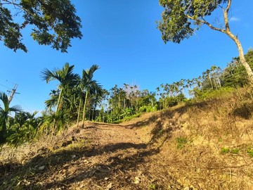 南中寮近粉紅山丘秘境有水源景觀超棒農地｜南投縣中寮鄉八杞仙段