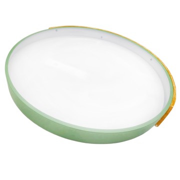 Honey Comb 北歐馬卡龍LED25W遙控調光調色臥室吸頂燈 綠色 簡約時尚  V1719C54