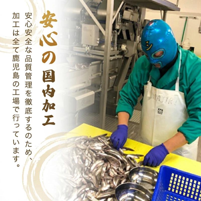 ししゃも 子持ち 干物 からふとししゃも 1kg(500g×2パック) 卵率15%以上 アイスランド産