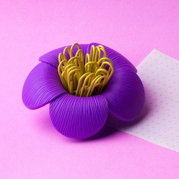 24H快速出貨 | 【特價】QUALY 山茶花–迴紋針組 (外盒髒污)
