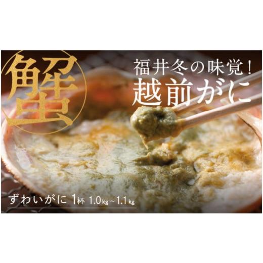 ふるさと納税 福井県 鯖江市 福井冬の味覚！越前がに 1杯  1.0〜1.1kg  [J-00906]