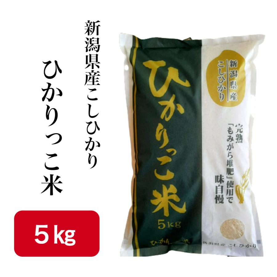 精米 新潟県産 こしひかり ひかりっこ米 5kg 令和4年産 新米 熟成もみがら堆肥使用 新米 白米 米 コメ