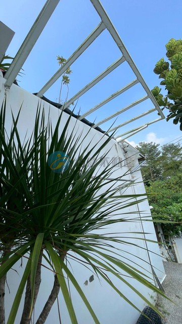 ☆旗山西班牙風格白色渡假屋☆｜高雄市旗山區成功二街