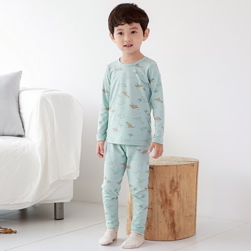 正韓 Cogibu - 極舒適無螢光劑幼兒/兒童 AERO WARM 有機發熱衣睡衣/家居服套裝組-恐龍