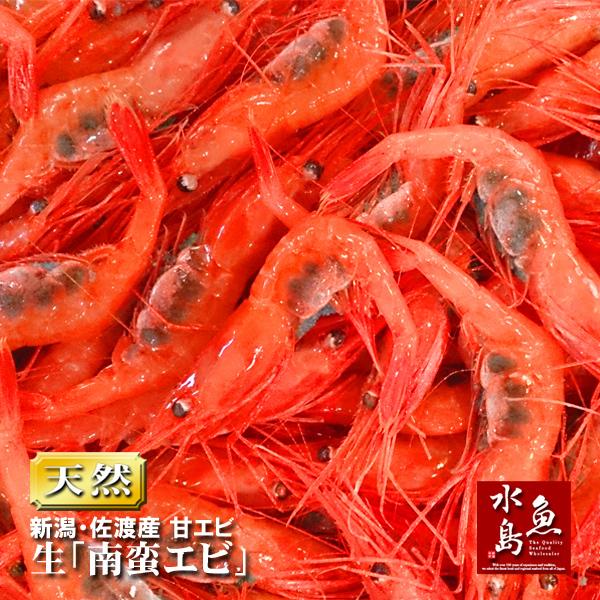 甘エビ「新潟・佐渡産 南蛮エビ」獲れたて生・刺身用 大サイズ1kg（冷蔵）