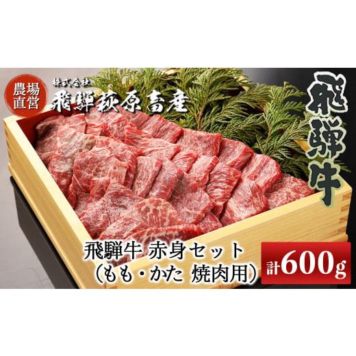 ふるさと納税 岐阜県 下呂市 飛騨牛赤身焼肉セット 600g（もも焼肉 300g・かた焼肉 300g）最高級 国産 牛肉 ブランド牛  和牛 牛 焼き肉用 焼肉用 ギフト 贈答…