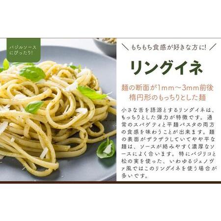 ふるさと納税 生パスタ  リングイネ 4.8kg  48食分( 麺 400g：4食 × 12袋 )｜生麺 香川県坂出市