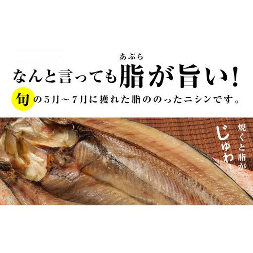 ふるさと納税 北海道 利尻富士町 利尻島産 開きニシン10枚＜利尻漁業協同組合＞