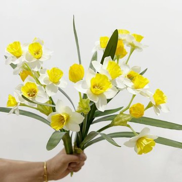 手捧花配材白水仙仿真花仿真植物裝飾植物客廳餐桌廚房花DIY