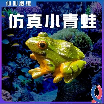 仿真青蛙 魚缸造景 樹蛙公仔 微景觀 園藝裝飾 苔蘚造景 多肉擺件 魚缸飾品 辦公室療癒 桌面擺飾 水族配件 拍攝道具
