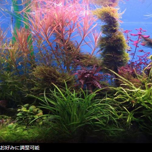 Ｃｈｉｈｉｒｏｓ ＬＥＤ Ｃ２ ＲＧＢ 熱帯魚 水草 アクアリウム