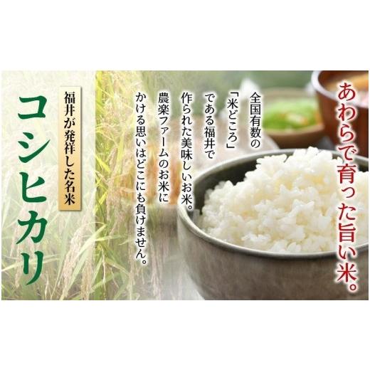 ふるさと納税 福井県 あわら市 《定期便12回》いっちょらい 無洗米 5kg（計60kg） ／ 福井県産 ブランド米 コシヒカリ ご飯 白米 新鮮 大賞 受賞…