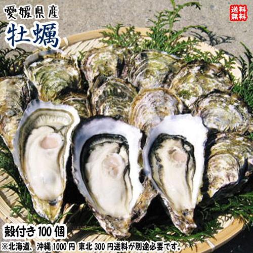 愛媛愛南町産 愛南 牡蠣（かき） 殻付き100個 送料無料 宇和海の幸問屋