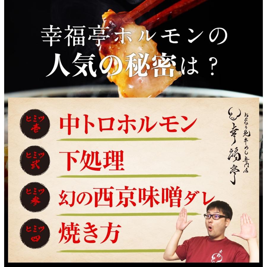 お歳暮 2023 ギフト 御歳暮 のし ホルモン 焼肉 BBQ 焼き肉 肉 ホルモン焼き お取り寄せグルメ 牛肉 中トロ ホルモン 600g(５〜6人前)