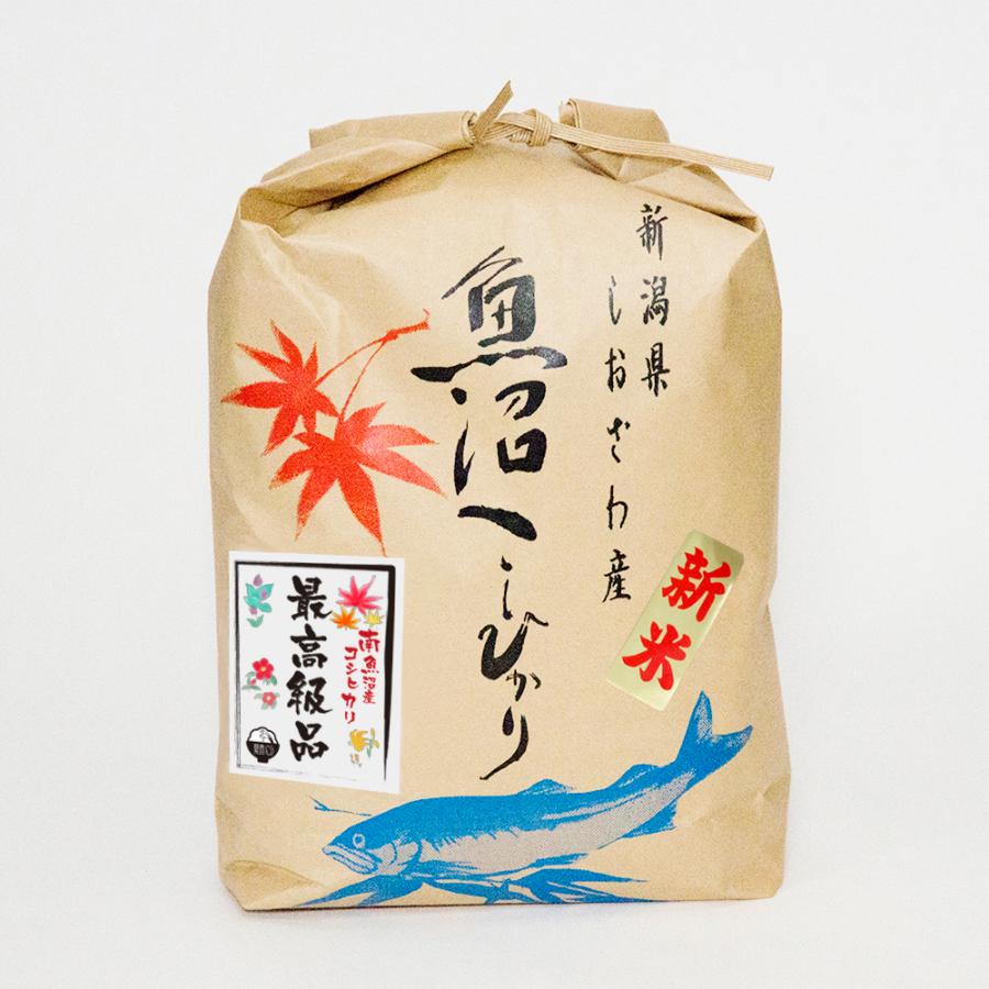 最高級品（令和５年産）　魚沼産コシヒカリ　白米１０kgクラフト袋　南魚沼産市しおざわ西山地区米 送料無料 御年賀 贈り物 新米　エコー米穀