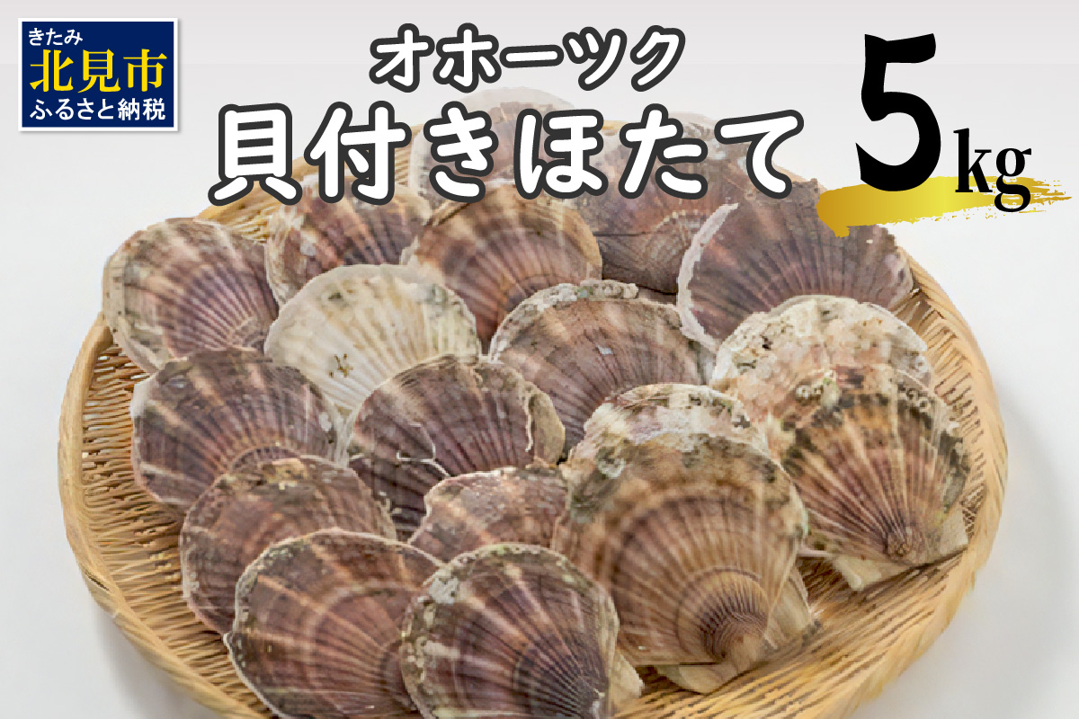 オホーツク貝付きほたて 5kg(30枚～50枚)( 海鮮 魚介 魚介類 貝 貝類 ホタテ ほたて 帆立 殻付き 貝柱 贈答 ギフト 贈り物 お中元 お祝い BBQ バーベキュー