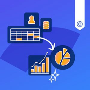 Financial Reporting, Controls, and Performance Storytelling