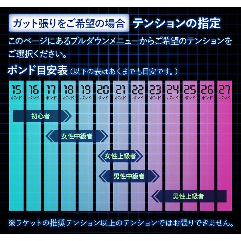 ヨネックス バドミントン トレーニングラケット