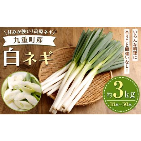 ふるさと納税 九重町産 白ネギ 約3kg (18本〜30本) ネギ 高原ネギ 野菜 大分県九重町