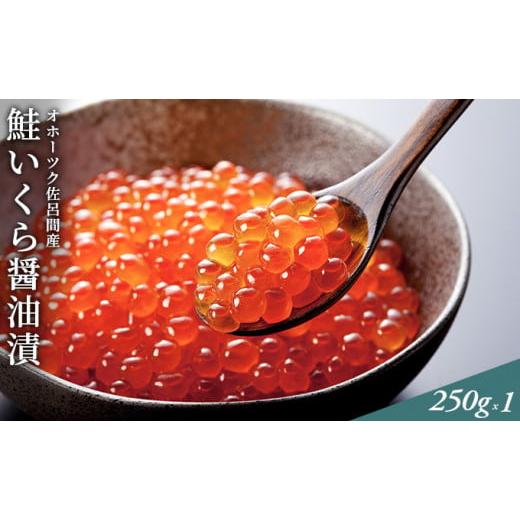 ふるさと納税 北海道 佐呂間町 ［R5新物］ いくら 醤油漬け 250g 佐呂間産  北海道 オホーツク 佐呂間町 鮭卵 イクラ 海鮮 魚介