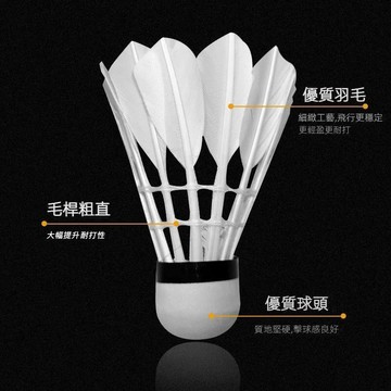 運動健身 羽毛球 發光羽毛球 羽毛球 羽球 運動用品 防風羽球 防風羽毛球 羽毛球練習器 塑膠羽毛球 戶外休閒