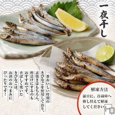 ふるさと納税 鹿児島市 きびなご一夜干し、フライ用詰合せ 1kg　K100-001