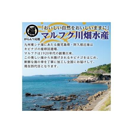 ふるさと納税 akune-2-59 鹿児島県阿久根市産干物セット(6種) 国産 九州産 鹿児島県産 新鮮 鮮度 魚 魚介類 乾物 ひもの おつまみ おかず お.. 鹿児島県阿久根市