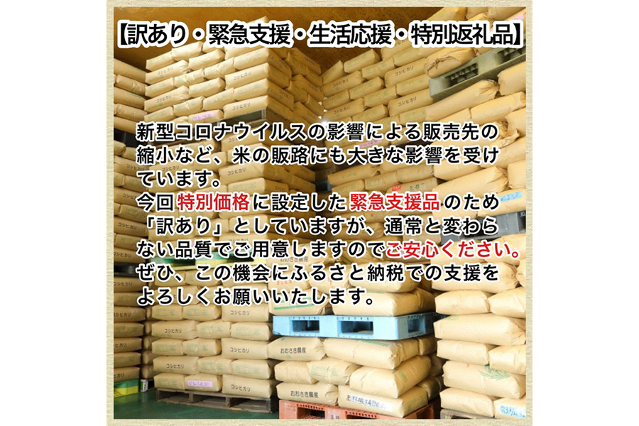 訳あり 定期便 新米 5kg 4ヶ月 京都丹波米 こしひかり 白米 4回定期便