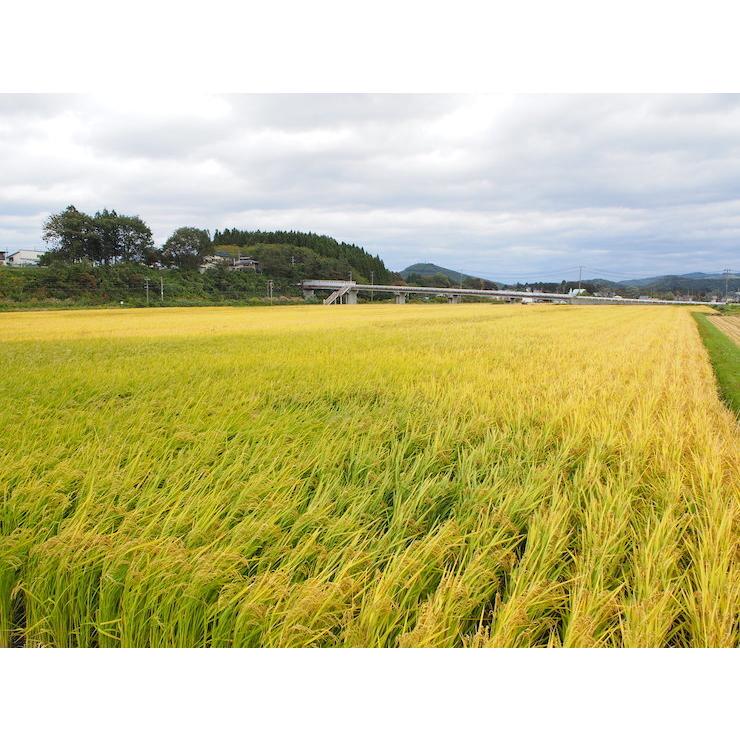 米 岩手県雫石産 ひとめぼれ ５Kg 白米・無洗米・分づきにお好み精米 送料無料 当日精米