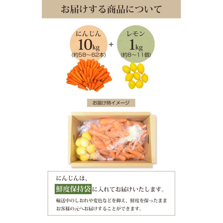 人参 無農薬にんじん 野菜セット 無農薬野菜 にんじんジュース ジュース用 10kg＋レモン1kg　ゲルソン療法にも最適 訳あり