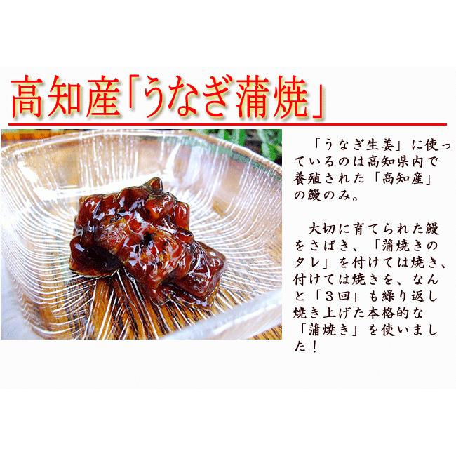 うなぎ生姜 80ｇ 高知産鰻と高知産黄金生姜使用 ご飯のお供、酒の肴 高知産 国産 ギフト うなぎ ウナギ 鰻 蒲焼き 土用丑の日  敬老の日