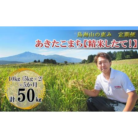 ふるさと納税 10kg（5kg×2袋）×5ヶ月 鳥海山の恵み 農家直送！ あきたこまち［精米 したて！］ 秋田県にかほ市