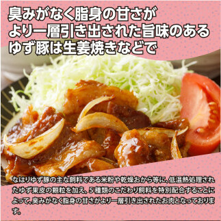 なはりゆず豚満喫セット 3.45kg 豚バラ ロース モモ 肩ロース 挽き肉 ひき肉 豚 豚肉 国産 詰め合わせ セット 冷凍 料理 おうちごはん 個包装 30000円 高知県産 高知