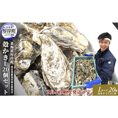 ふるさと納税 2月発送 厚岸産 殻かき L20個セット 北海道厚岸町