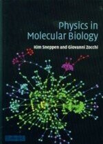 Physics in Molecular Biology 2005 (CAM.) 0-521-84419-3  K.SNEPPEN  Cambridge