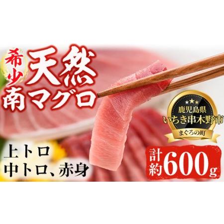 ふるさと納税 南まぐろの中トロセット 南まぐろ上トロ、中トロ、赤身各1柵（約600g） 希少な天然南まぐろをご家庭で！最上級の南まぐ.. 鹿児島県いちき串木野市