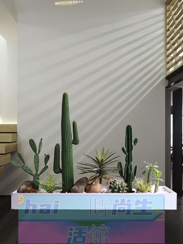 免運 可開發票 大型仿真綠植仙人掌造景樓梯下盆栽擺件室內造景熱帶植物景觀裝飾