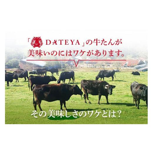 ふるさと納税 宮城県 仙台市 仙台名物 柔らか厚切り 牛タン・食べ比べセット