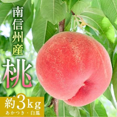 ふるさと納税 飯田市 南信州産「桃」約3kg〈あかつき・白鳳〉