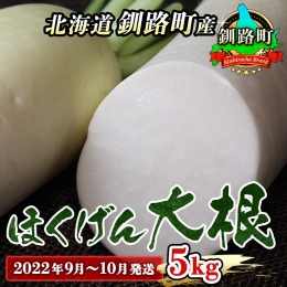 野菜王国　釧路町産 5kg＜出荷時期：2023年9月1日～10月31日ごろ＞