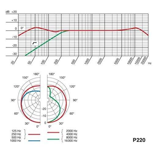 AKG: P220 Project スタジオ コンデンサー マイクロフォン. For ヴォイス